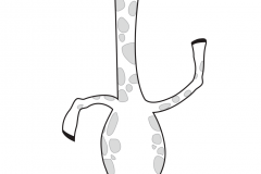 1 - Giraffes Cant Dance #1-1